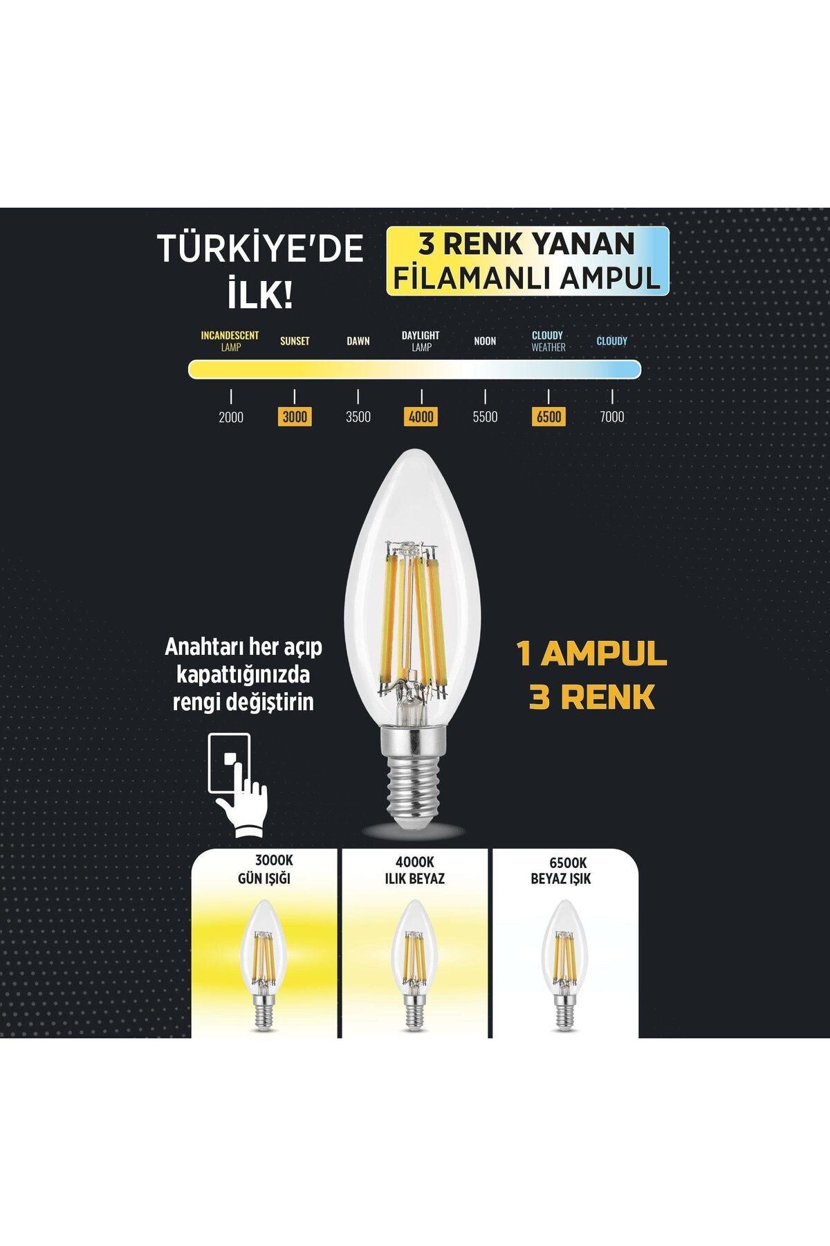 3 Renkli Filament Rustik LED Ampul 6W E14 C35 10'lu ERD-260