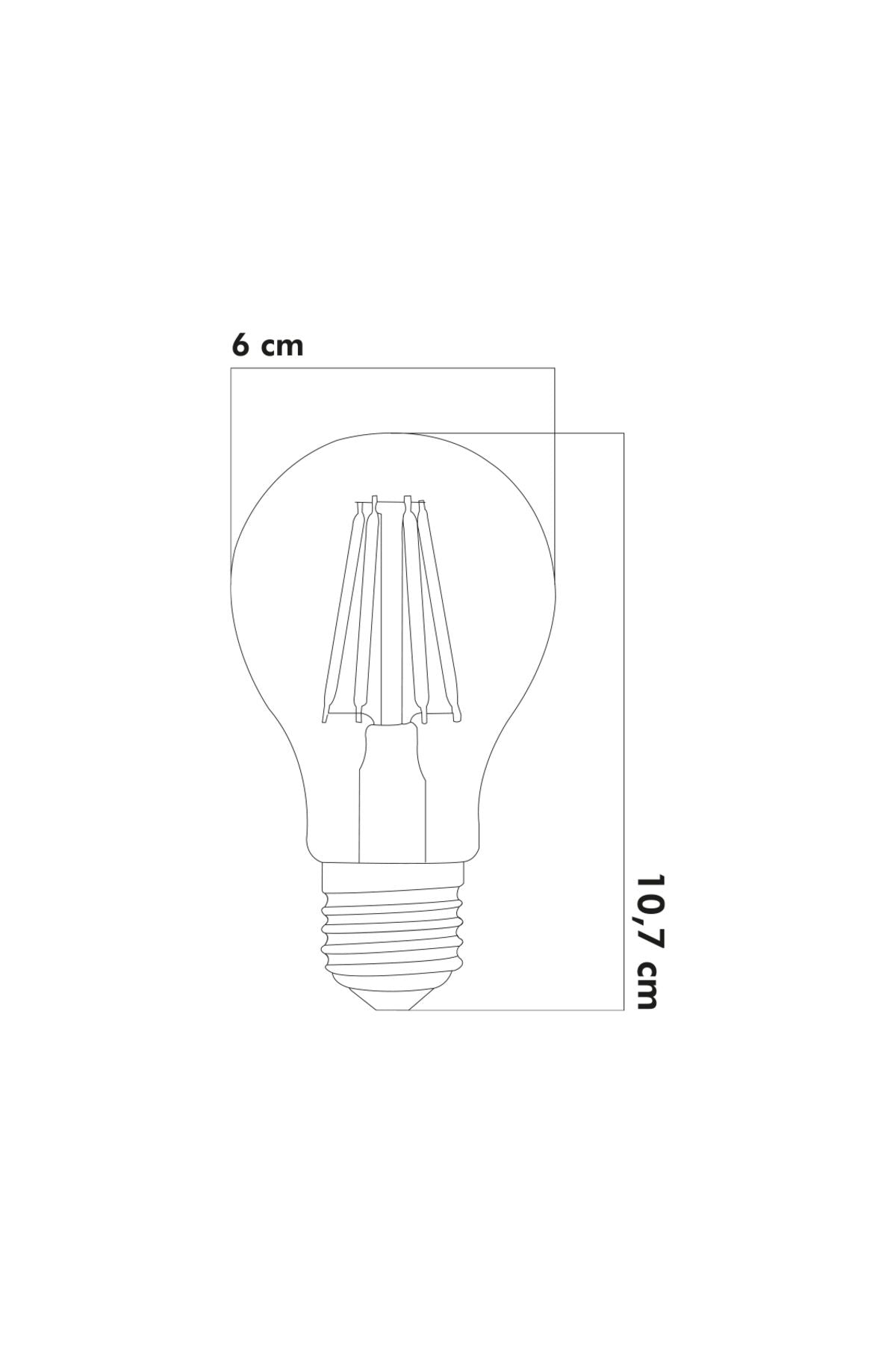 A60 Bal Cam LED Ampul 6W 2500K E27 (Gün Işığı) 5'li ERD-37